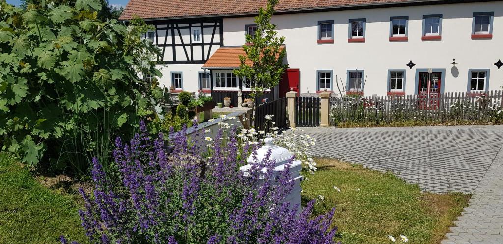 Hossies Hof - Elke photo 1