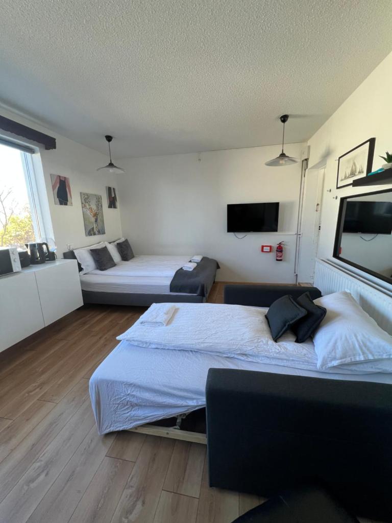 Studio apartment in Hafnarfjordur photo 2