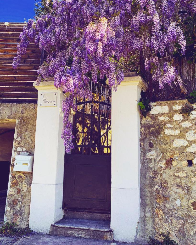 La Reposée, bas de villa en plein cœur de Vence photo 1