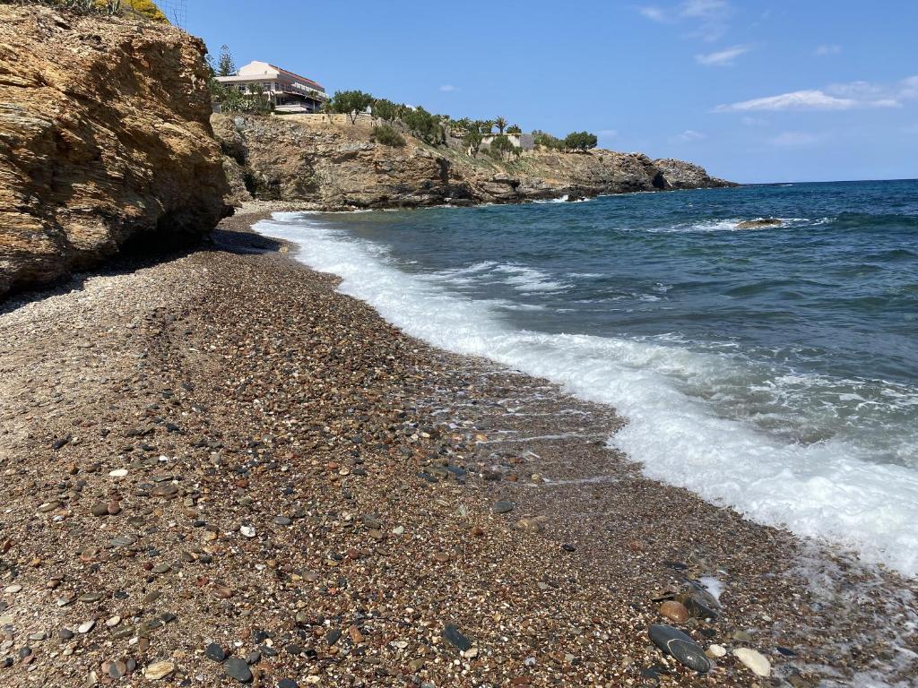 Contessina del mare photo 4