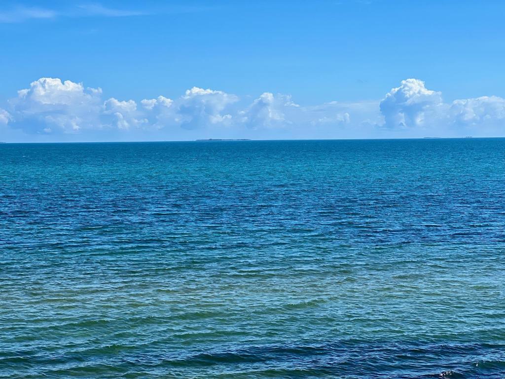 Bella Sway Belize photo 3