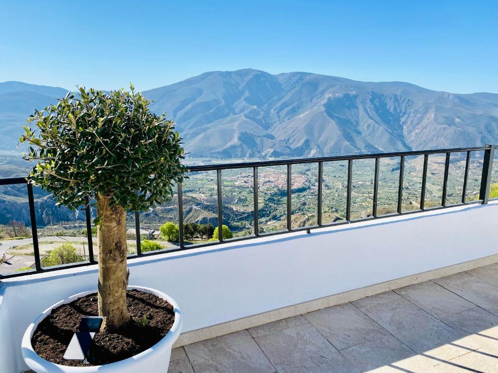 Casa Rif photo 2