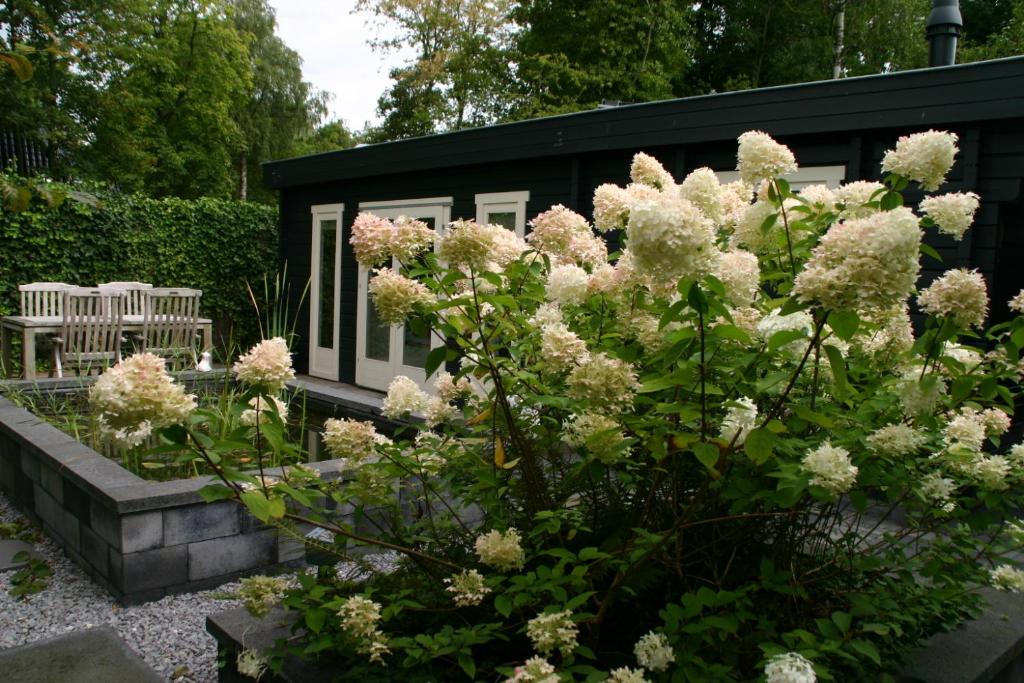 B&B Gaasterland photo 1