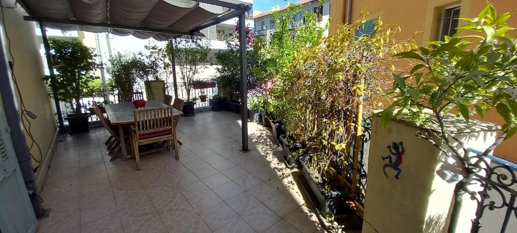 la terrasse photo 3