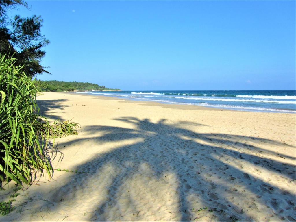 Isana Beach House