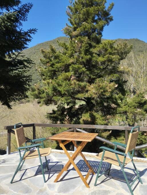 El Nial de Los Pinos photo 4
