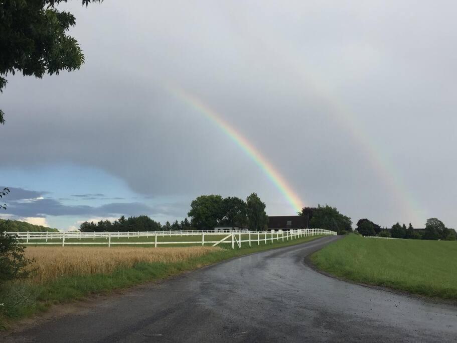 Hus på 100 m2 ved skov photo 3