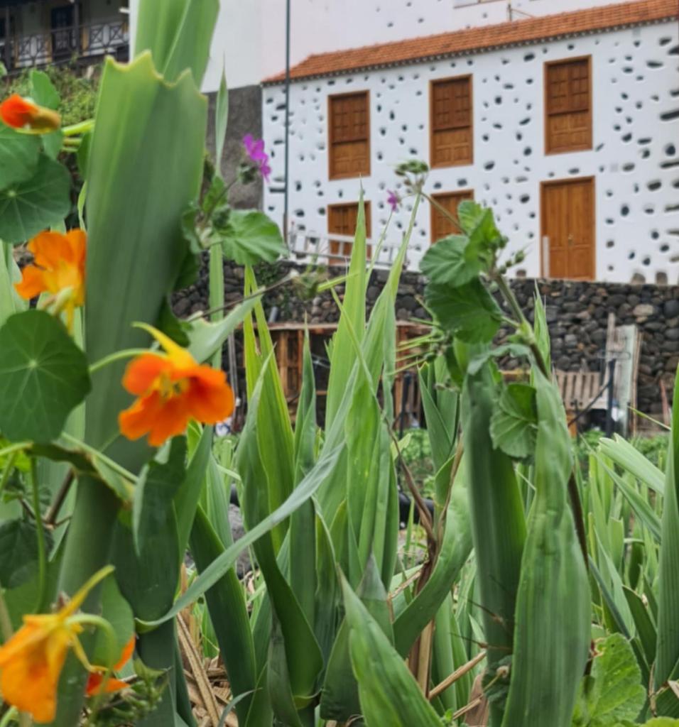 CASA RURAL ANTIGUA ESCUELA I