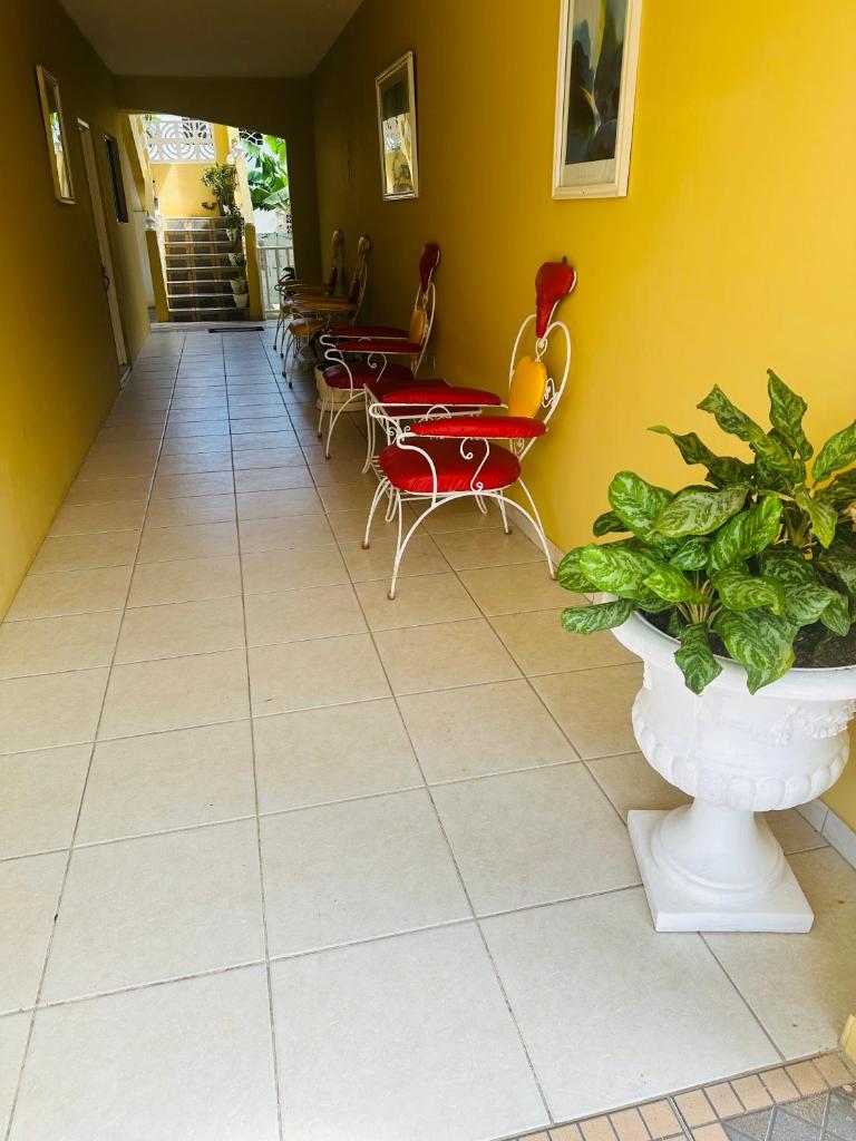 Spring Palm Estate photo 2