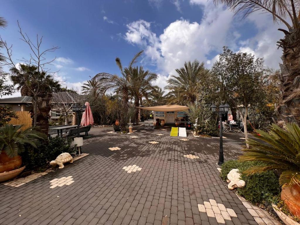 skyZimmer network-Ahuzat omanim photo 4