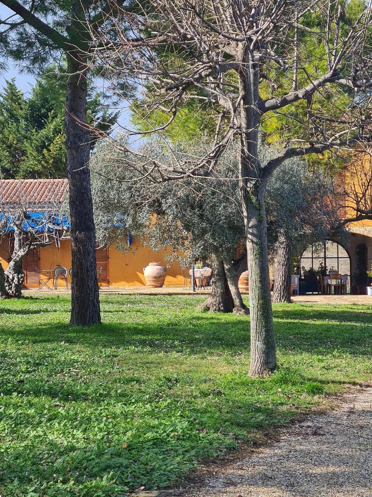 Tenuta Lanza photo 3