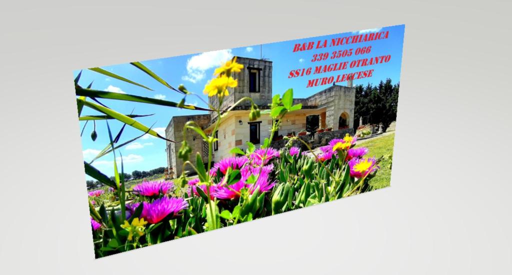 B&B La Nicchiarica