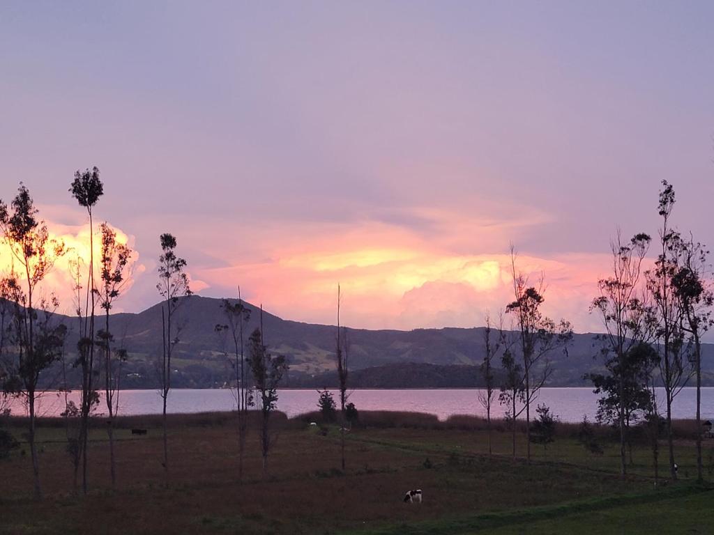 PAKARI, Lake view photo 4