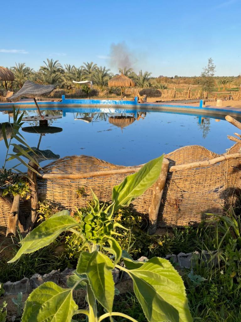Domed Bedouin Chalet photo 4