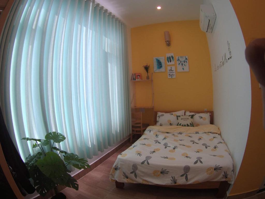 HD House Homestay Vũng Tàu