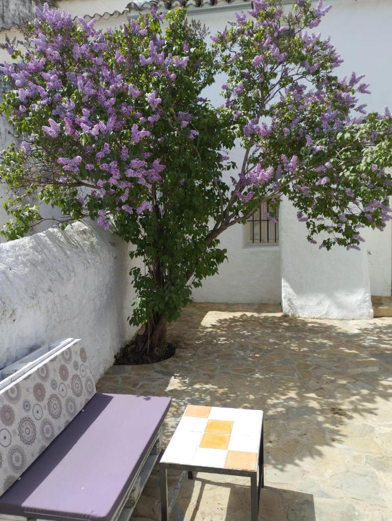 Casa Béjar, Tranquila casa con chimenea, patios, junto a la piscina photo 1