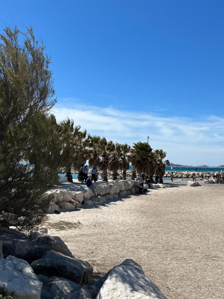 Entre Plages et Jardins photo 4