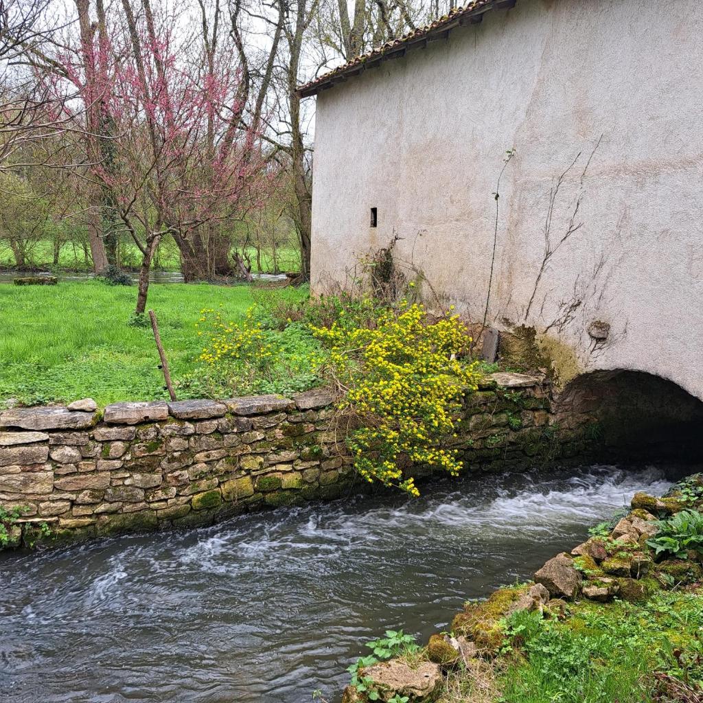 Maison de Preuillé photo 1