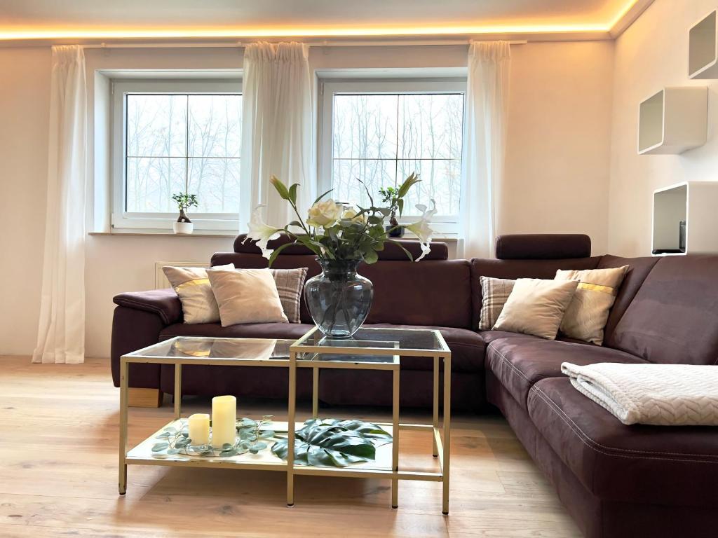 Luxus Ferienhaus Erzgebirge in Alleinlage photo 3