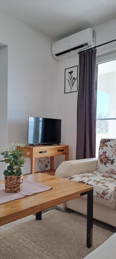 Apartment Anchor photo 2