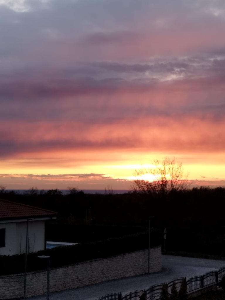 ToniS photo 3