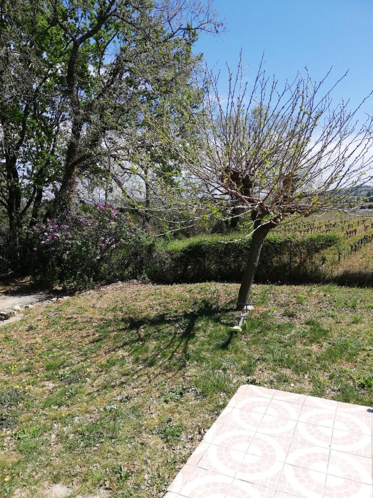 Villa de campagne avec piscine privé proximité Ardèche photo 2