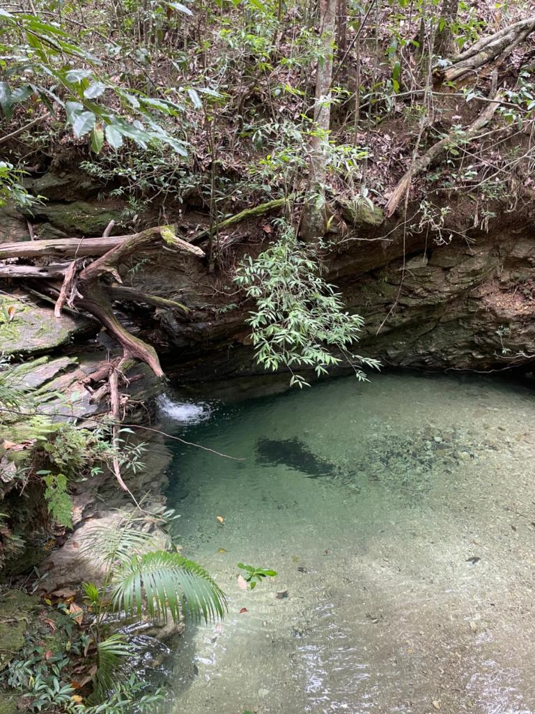 ninho da arara photo 4