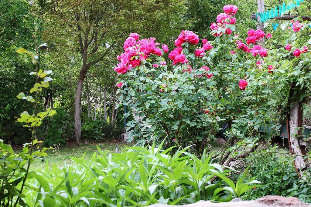Tomillo Alojamiento Unidad 1 Bed and Breakfast Habitación con baño SIN COCINA photo 2
