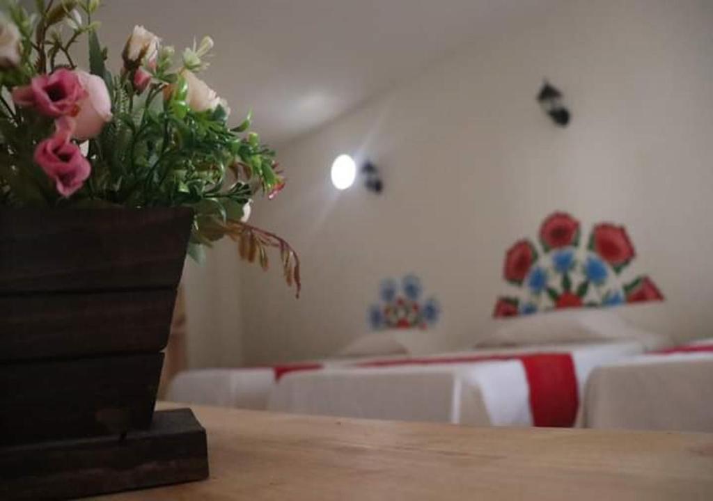 Mia Bonita Hotel Boutique photo 1