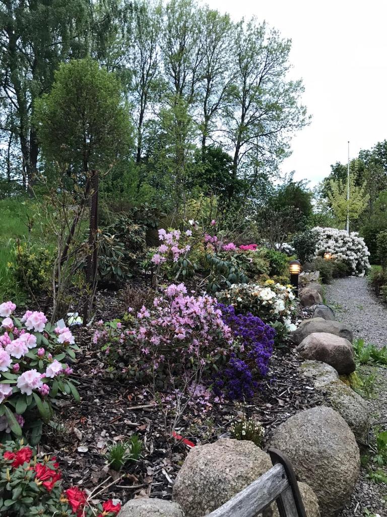 Lilla lägenheten photo 2
