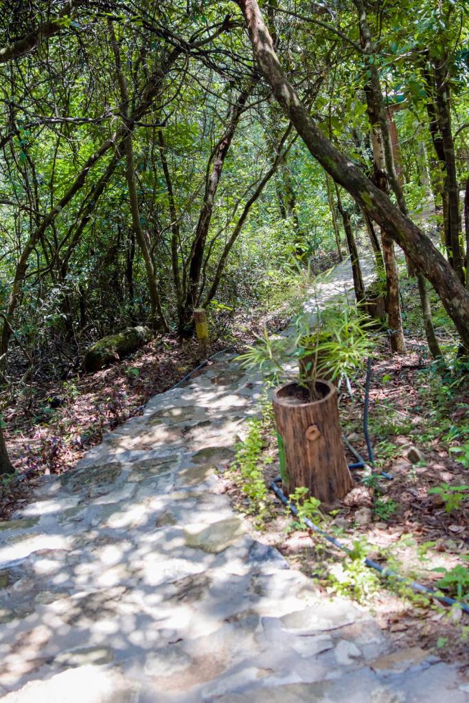 Nature Springs Belihul oya photo 1