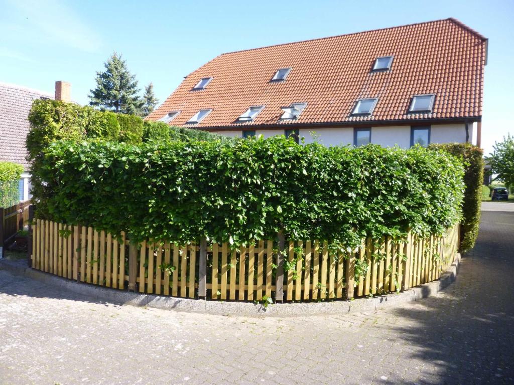Haus Zum See, Sommersdorf, Mecklenburgische Seenplatte photo 4