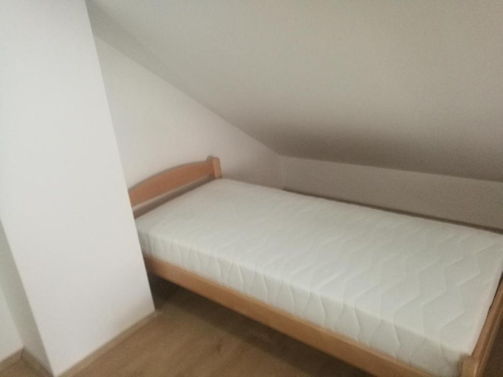 apartma Burjuca photo 2