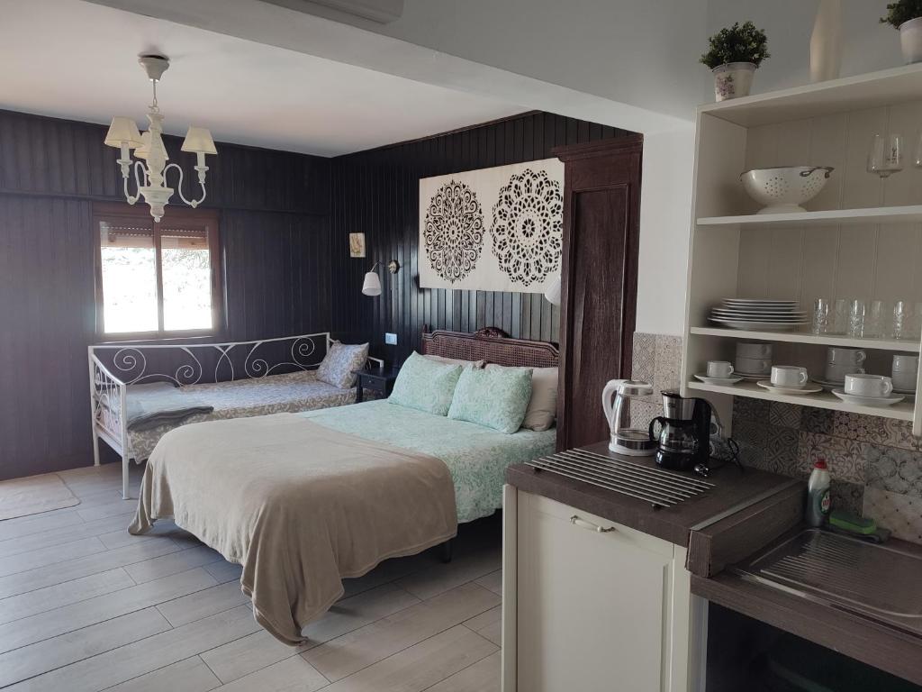 Hacienda FELIX photo 2