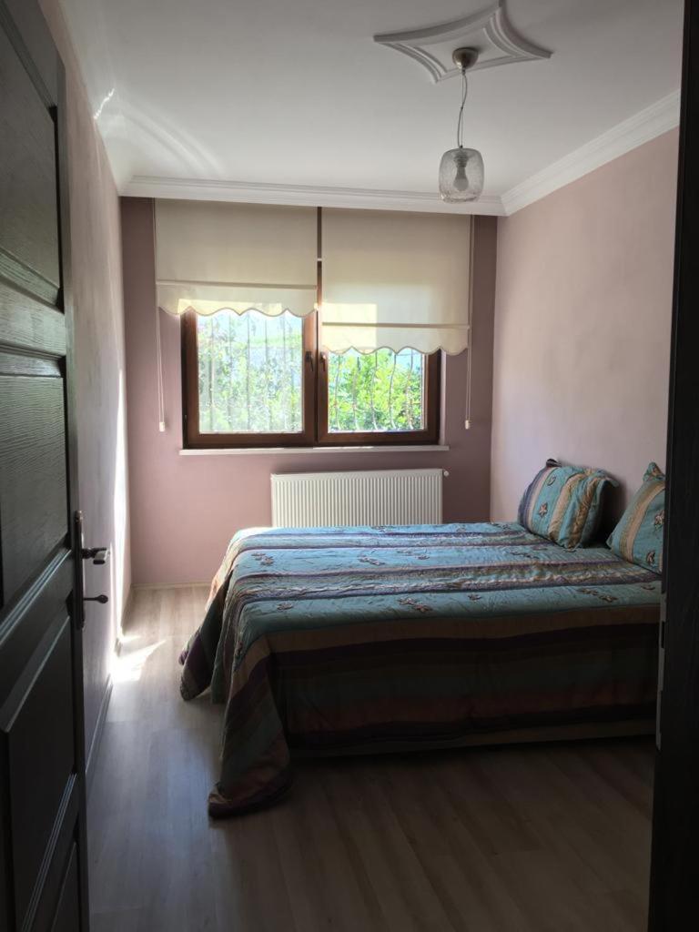 doğanın tadını çıkar photo 1