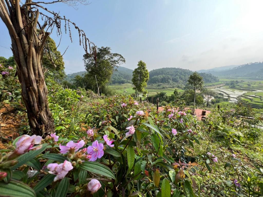 KONKE RUỘNG FARMSTAY