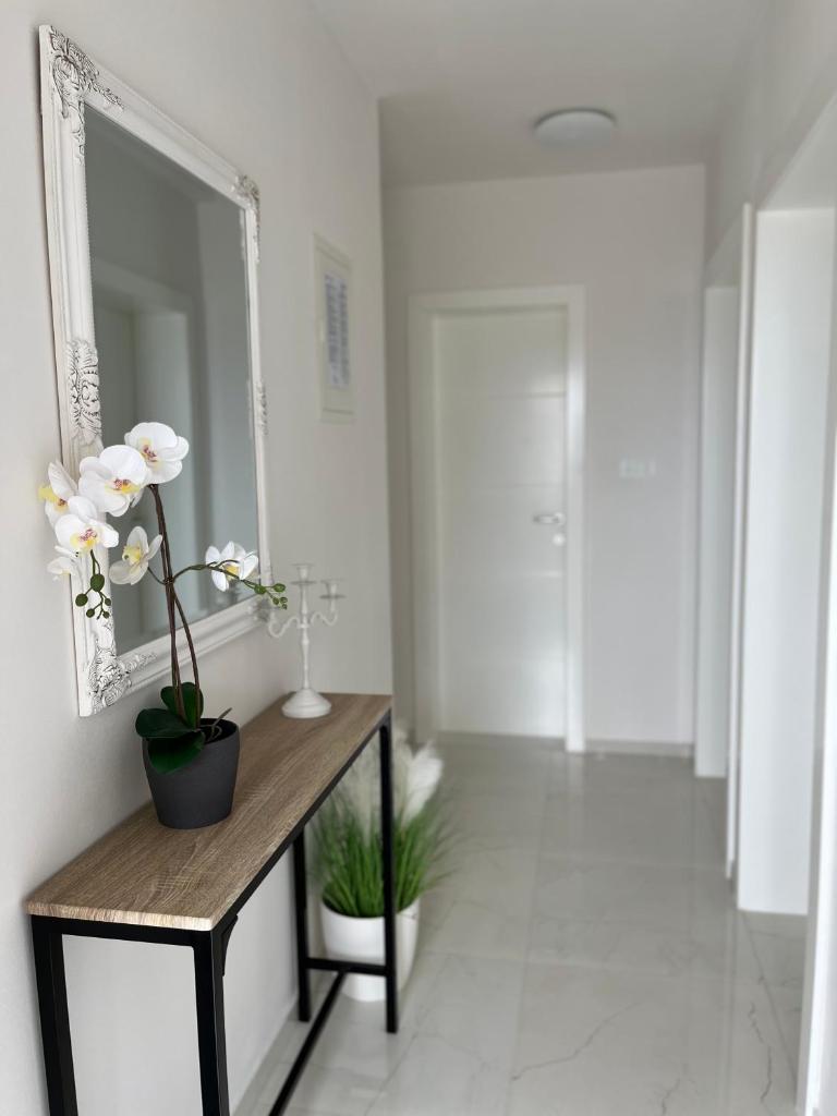 Apartmani Lozić photo 3