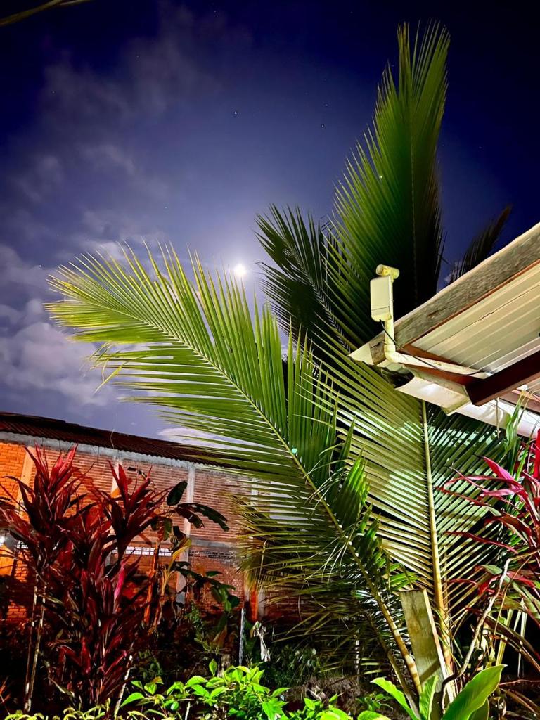 Villa Luz Ovelia photo 1