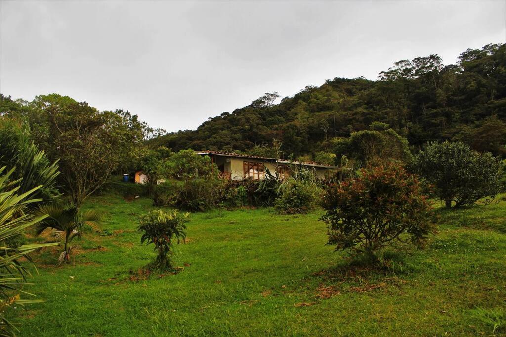 Quinto Sol photo 3