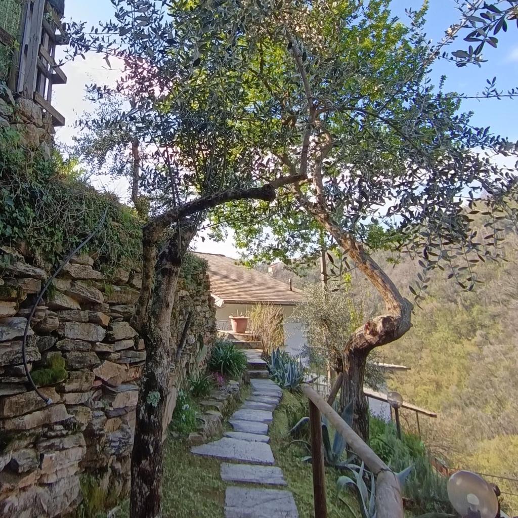 Tottavilla Affittacamere photo 3