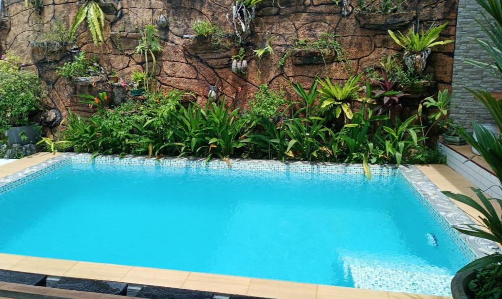 Villa Lim photo 1