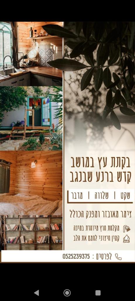 סיגליות במדבר