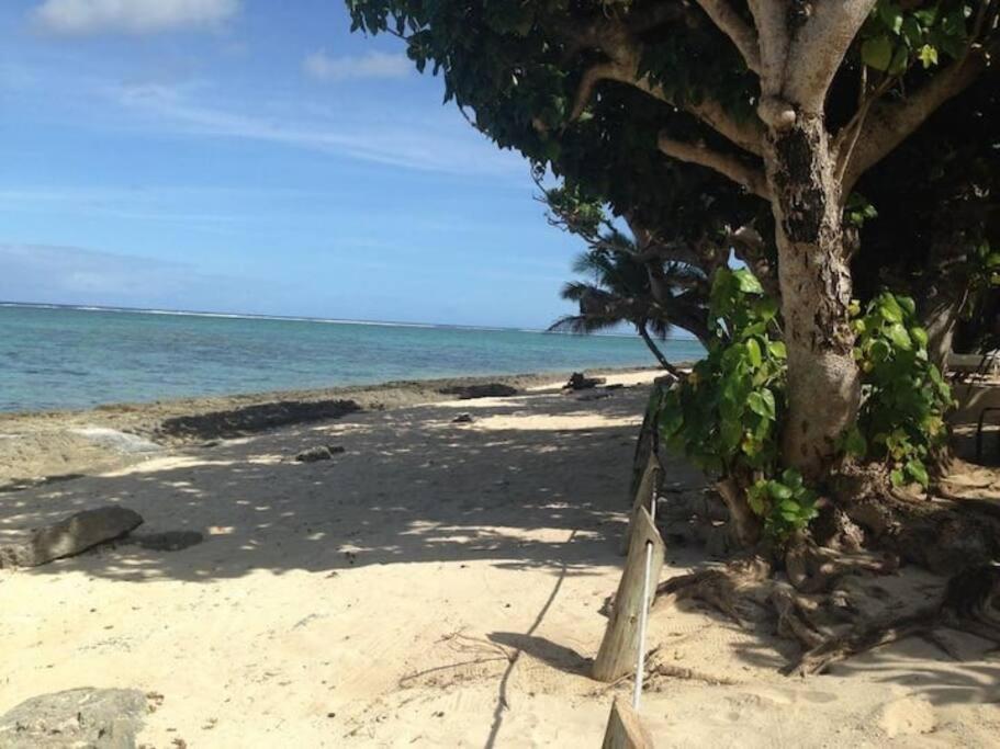 The Jewel of The Coral Coast photo 3