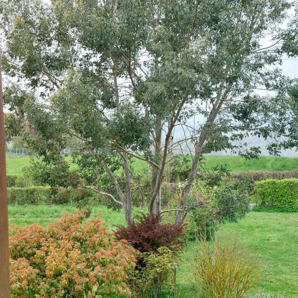 Detente a la campagne photo 1
