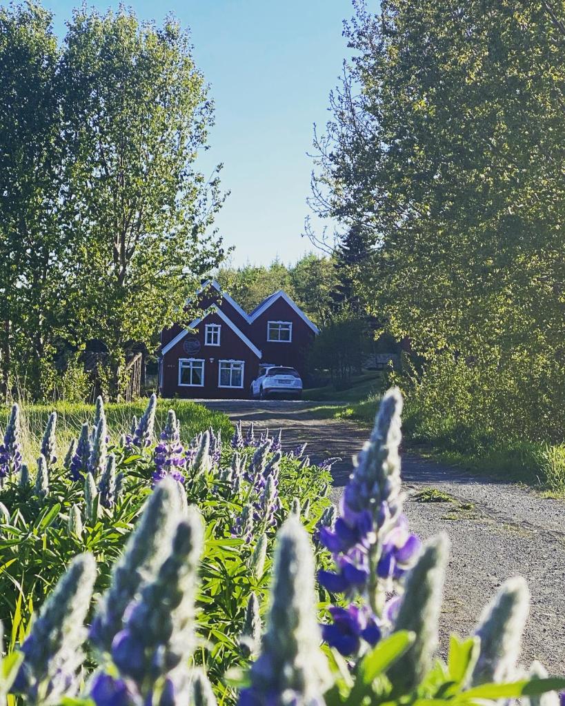 Hengifosslodge Skáldahús photo 2