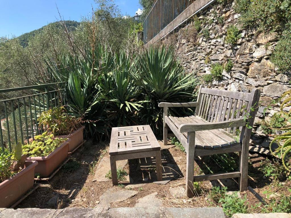 Casa Madeleine photo 1