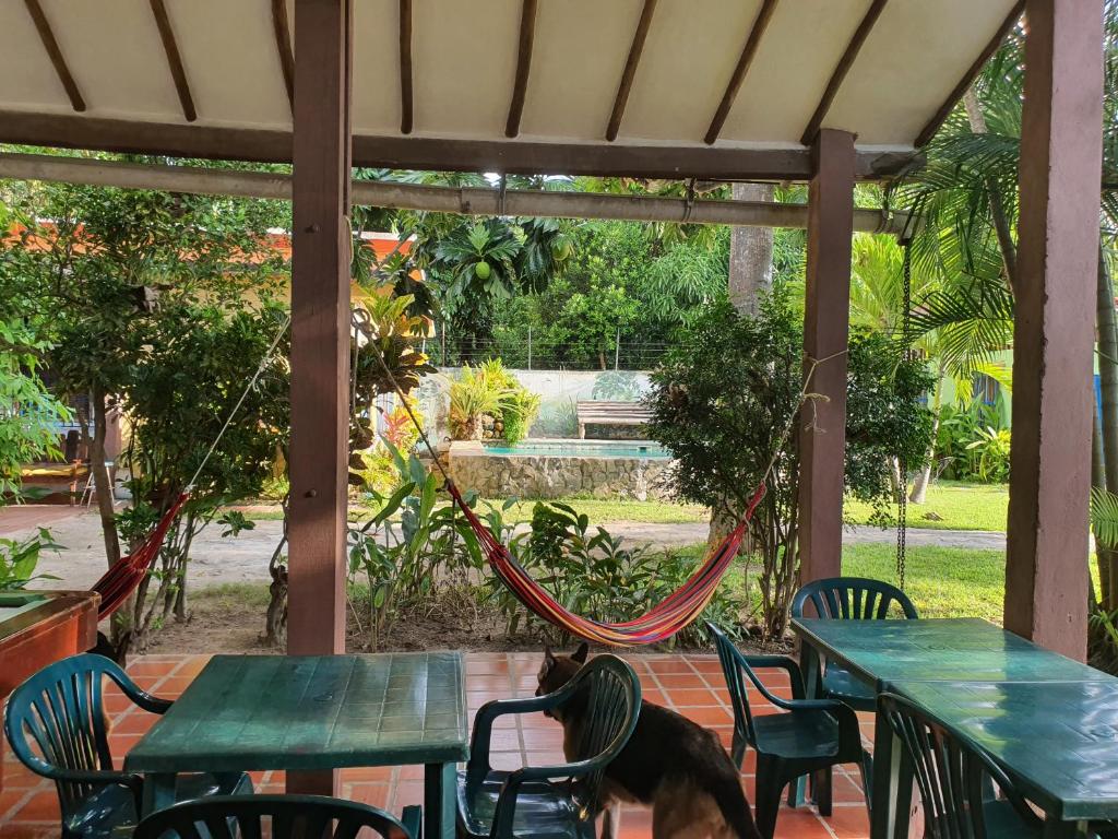 Hostal Nova Colonial photo 3