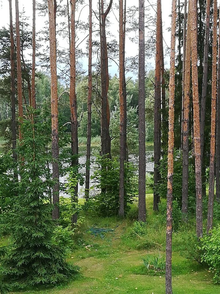 Sisaliku Puhkemaja saunaga photo 1