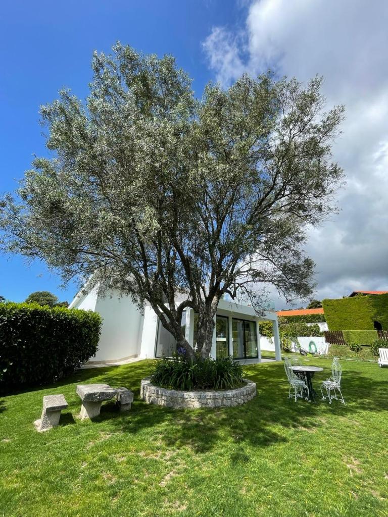 Fonte do Forno Villas photo 3
