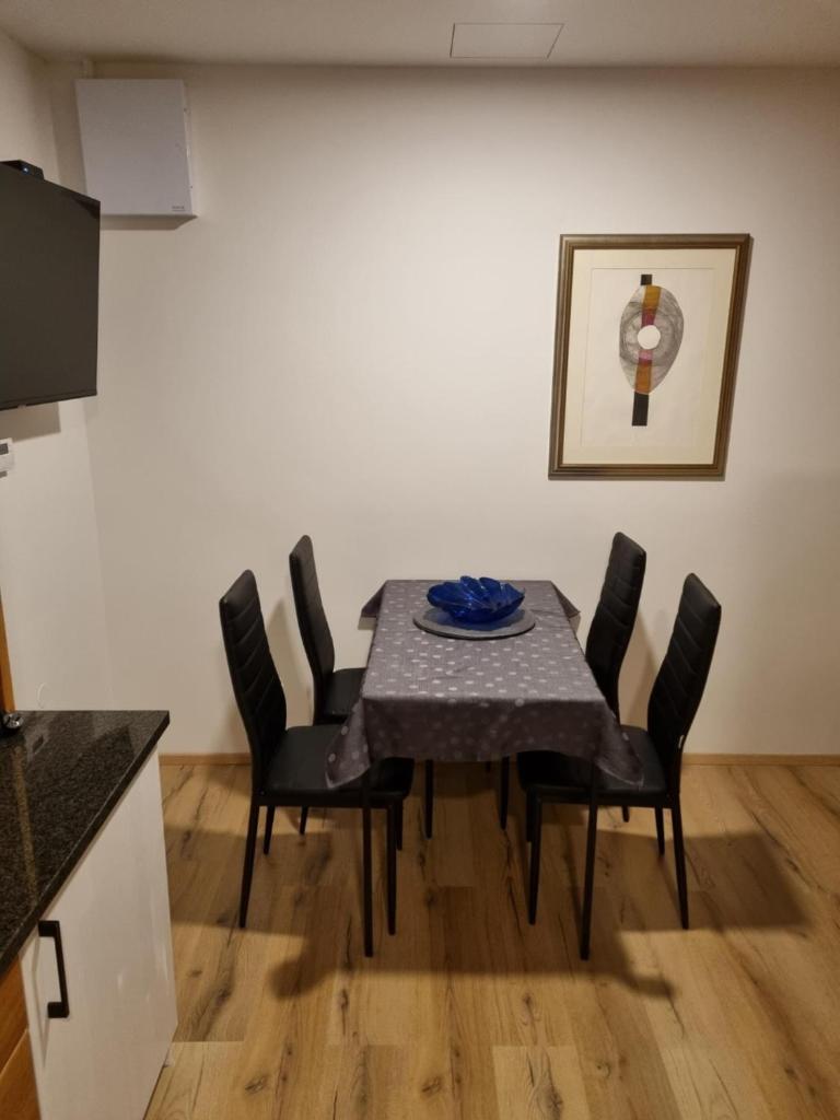 Savinja River Residence photo 1